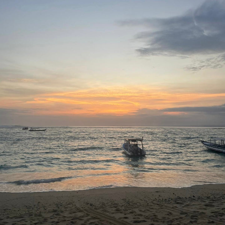 Bali Dreams - Øreringe Stål