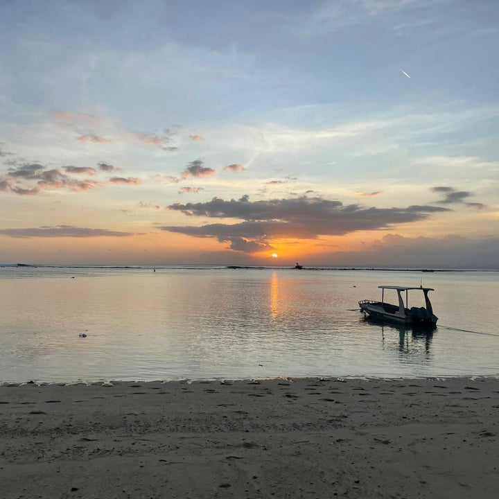 Bali Dreams - Øreringe Stål