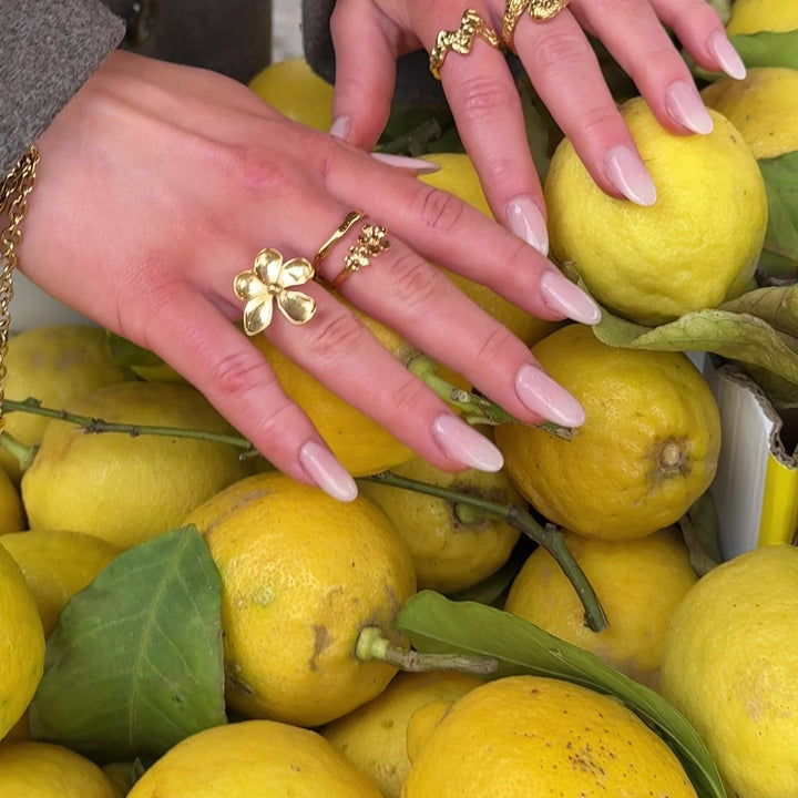 Celeste Ring Forgyldt