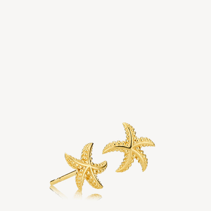 Marina - Earrings Gold Plated